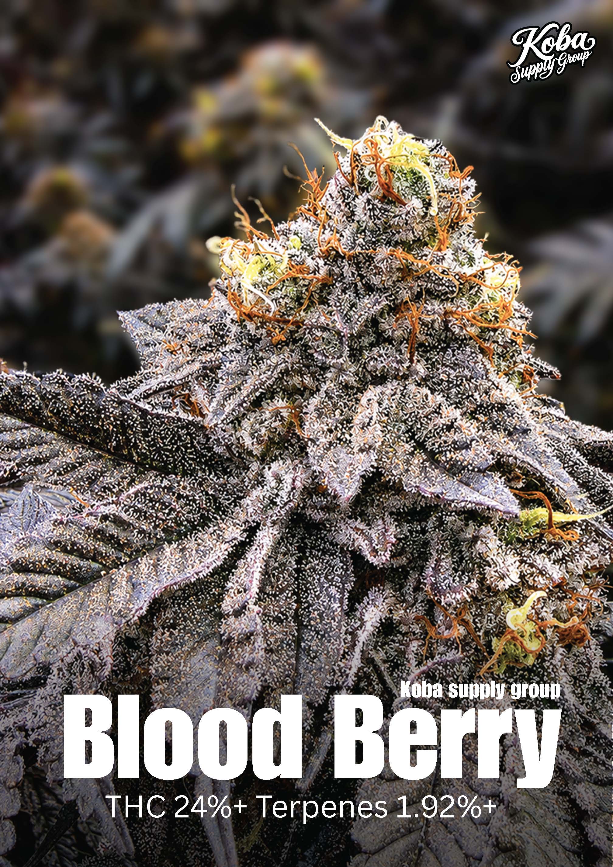 Blood Berry