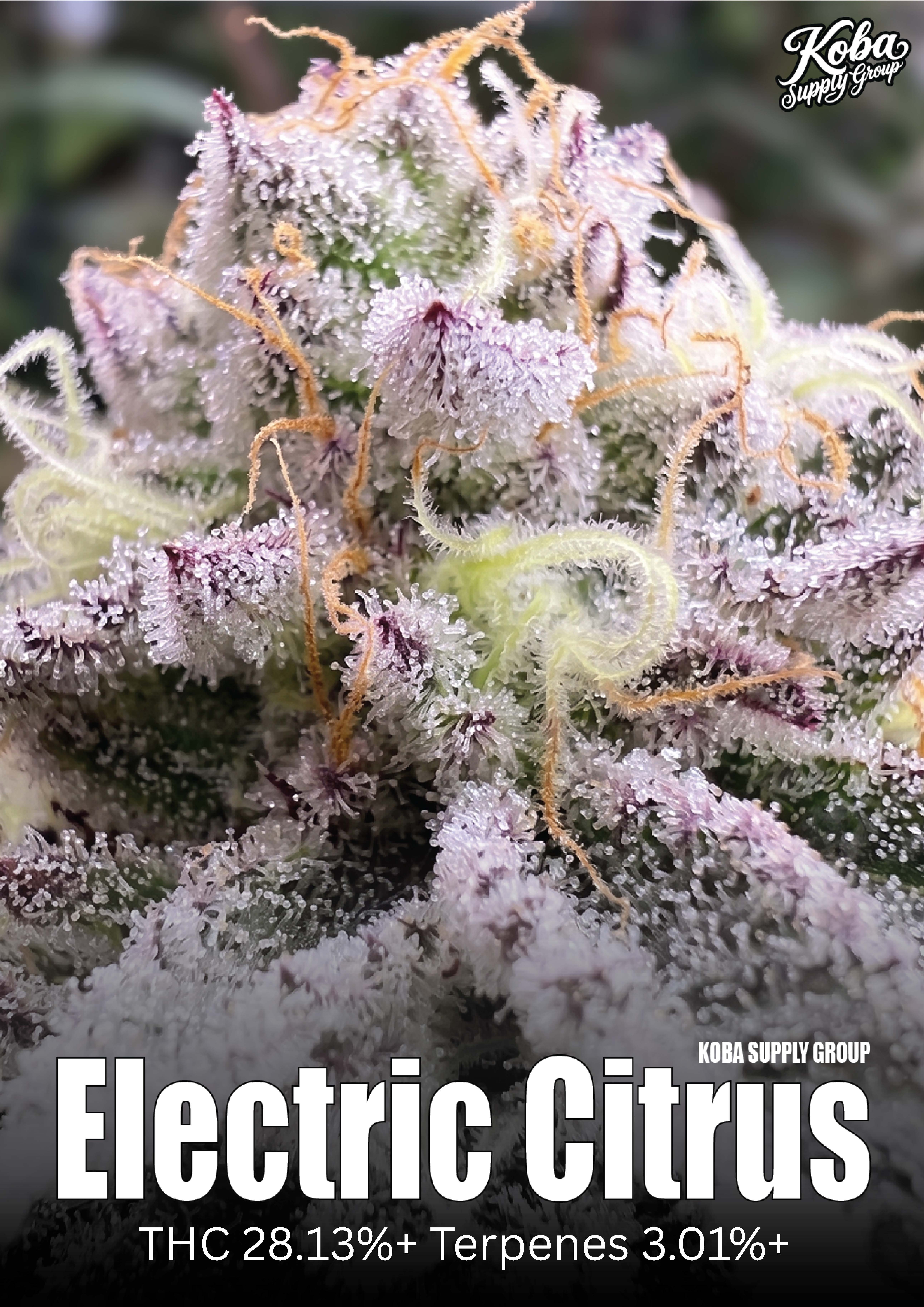 Electric Citrus