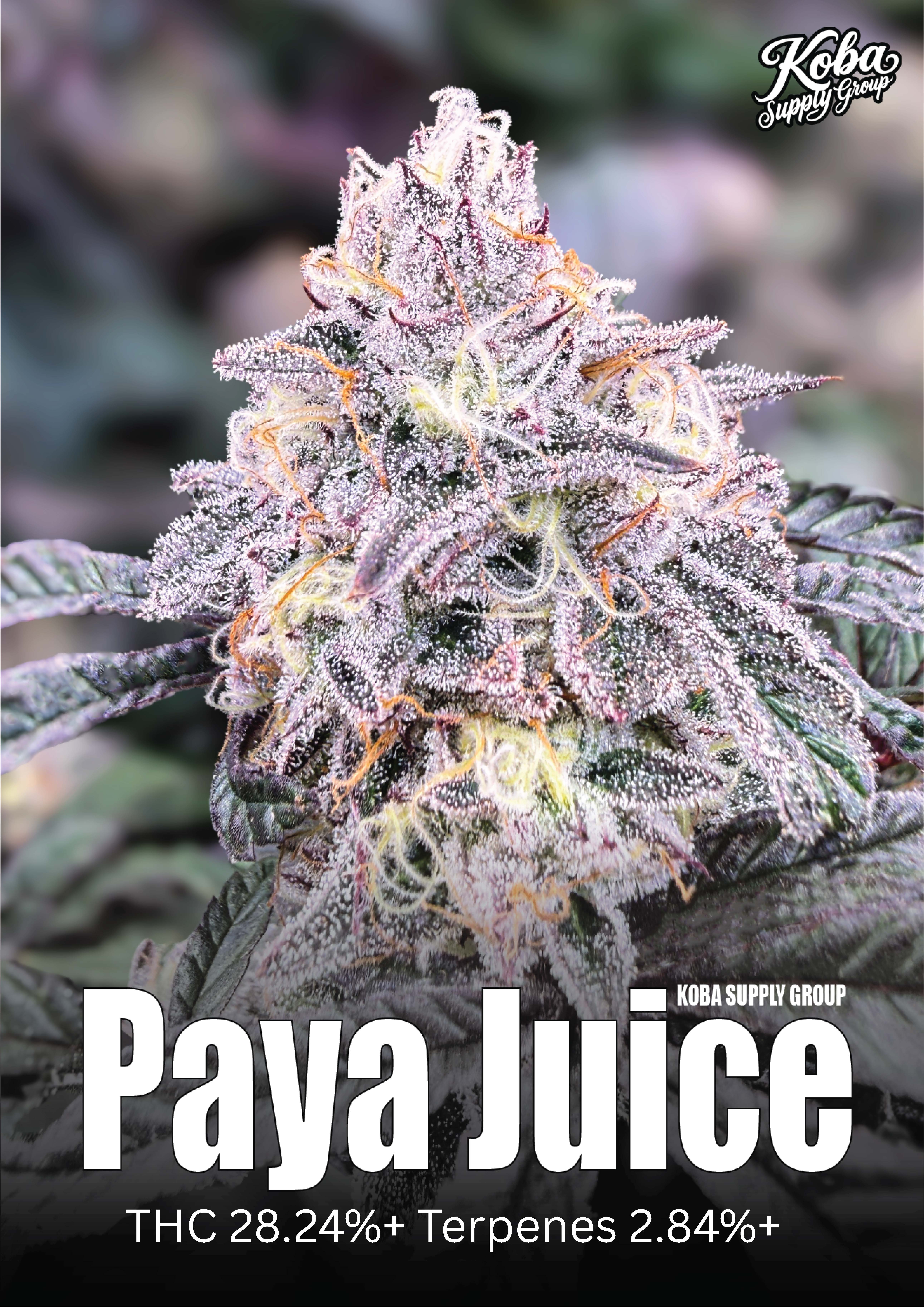 Paya Juice