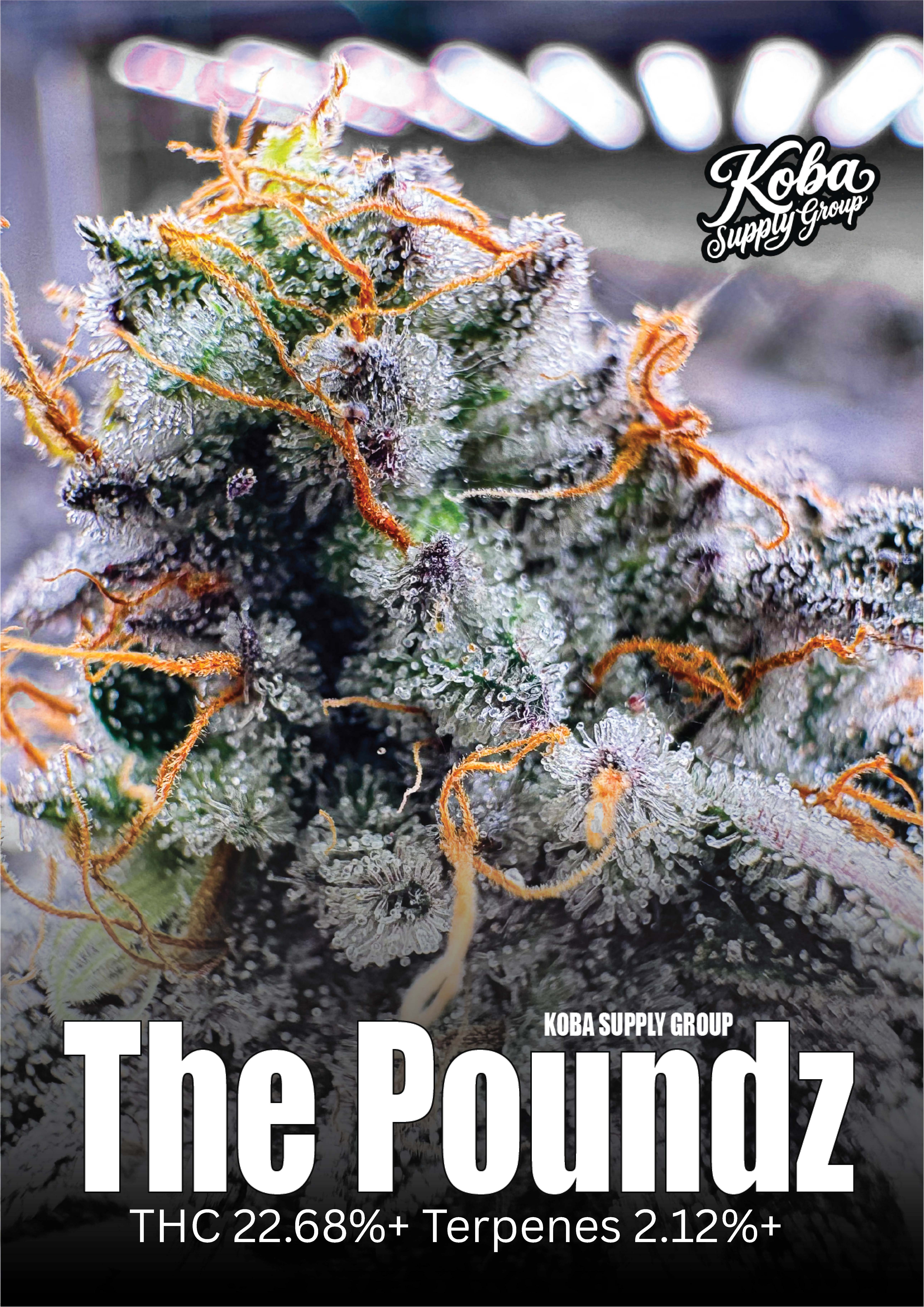 The PoundZ